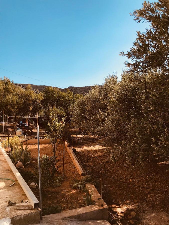 Country House Pachia Ammos Bagian luar foto